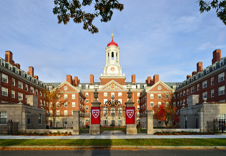 harvard university